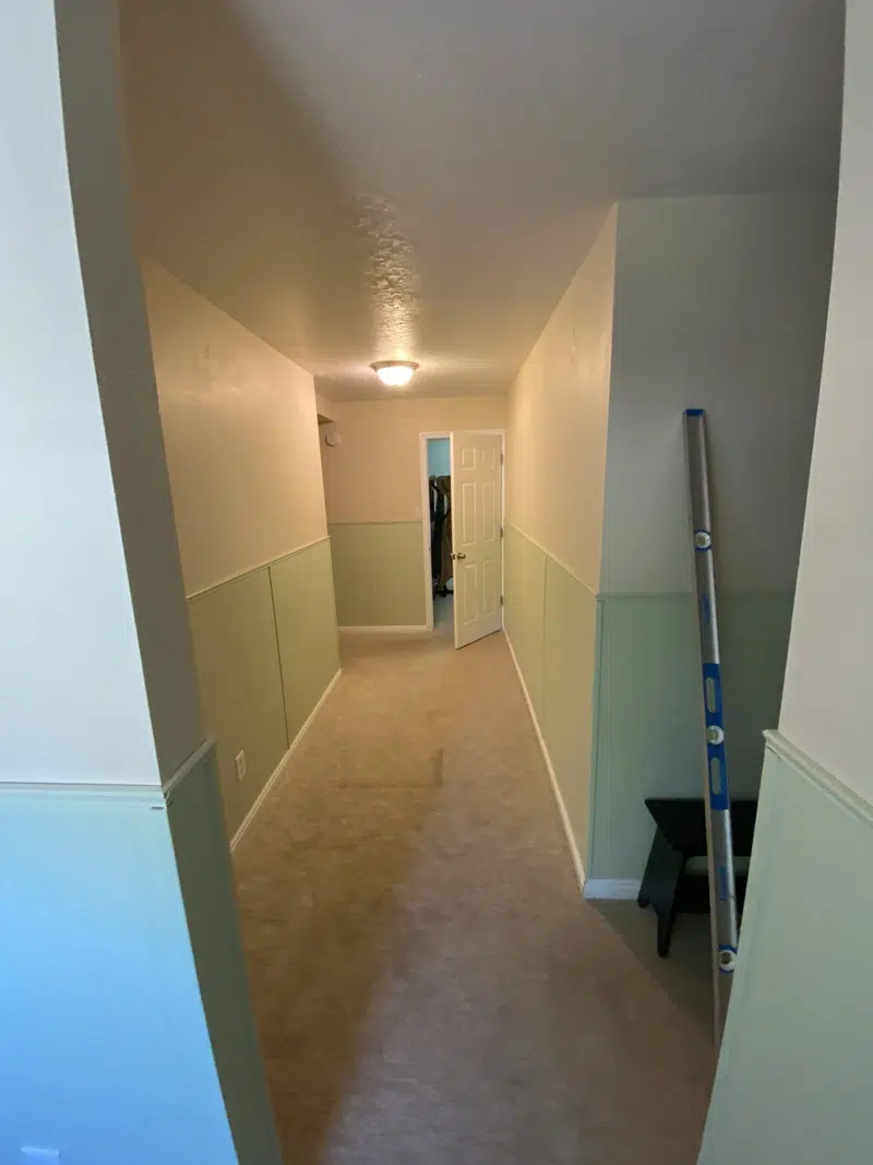Before image